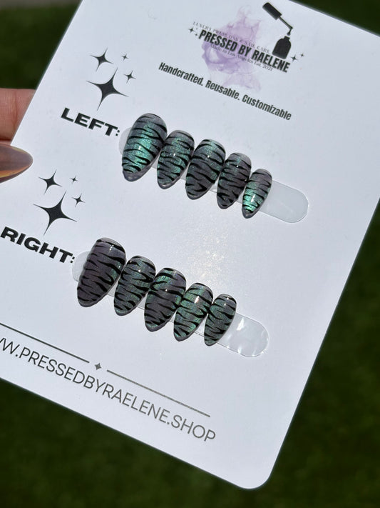 Zebra  | Short Almond | Size (XSmall) | READY TO SHIP