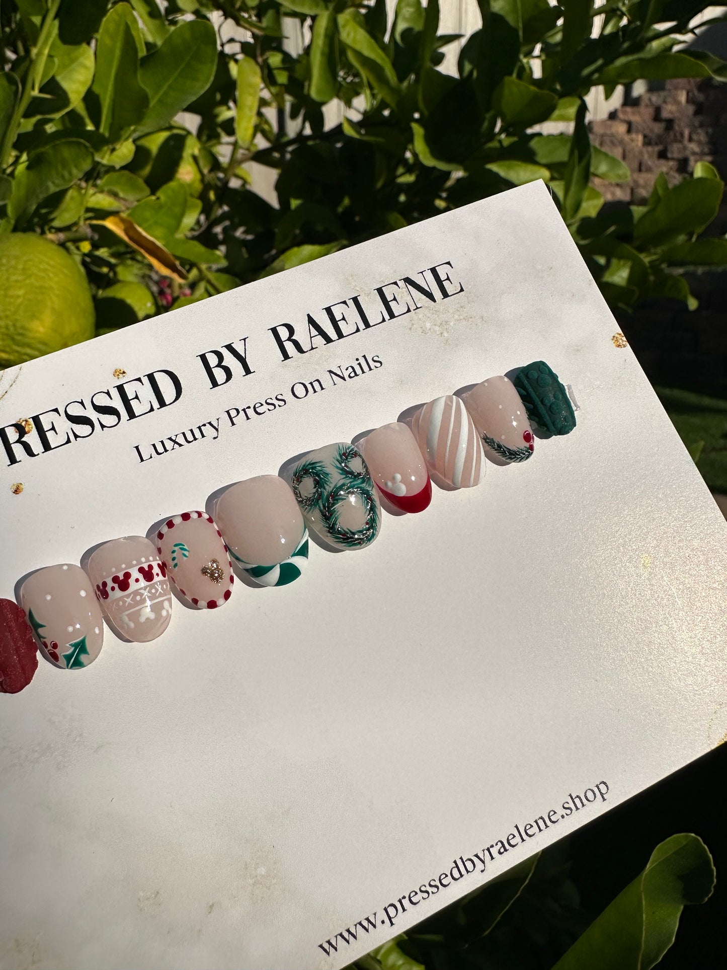 Diisney Christmas Set | Extra Short Round