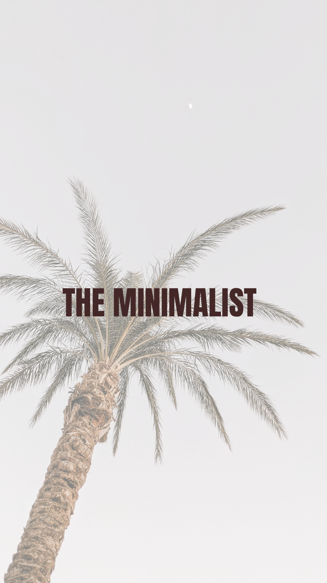 THE MINIMALIST